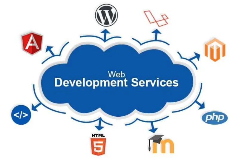 how to choose the right web development service provider